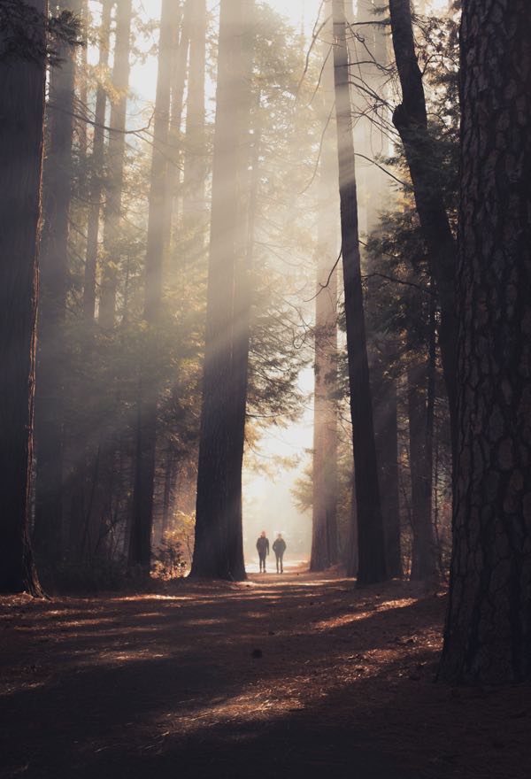 Odio Utsem Nulla Pharetra Diam Sitametnisl Elementum Casey Horner D4TooCIEyF4 Unsplash 1