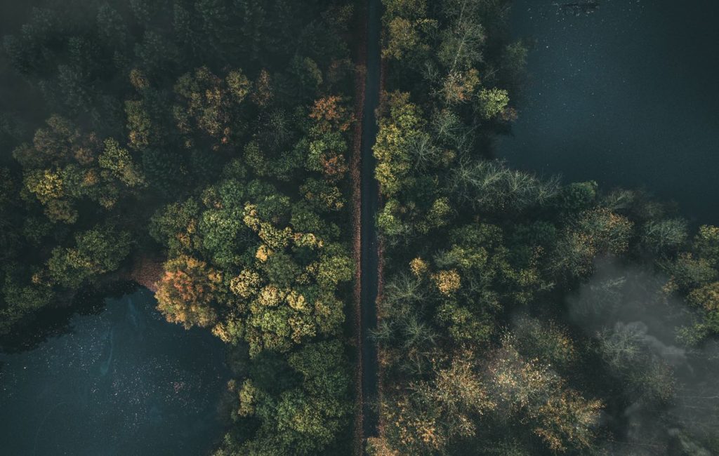 Odio Utsem Nulla Pharetra Diam Sitametnisl Elementum Jan Henrik Franz 1063148 Unsplash 1 1024x650