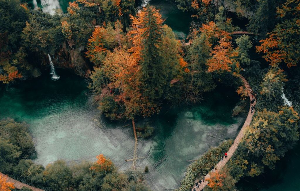 Odio Utsem Nulla Pharetra Diam Sitametnisl Elementum Peter Jan Rijpkema WI6o8OwUwdw Unsplash 1 1024x650