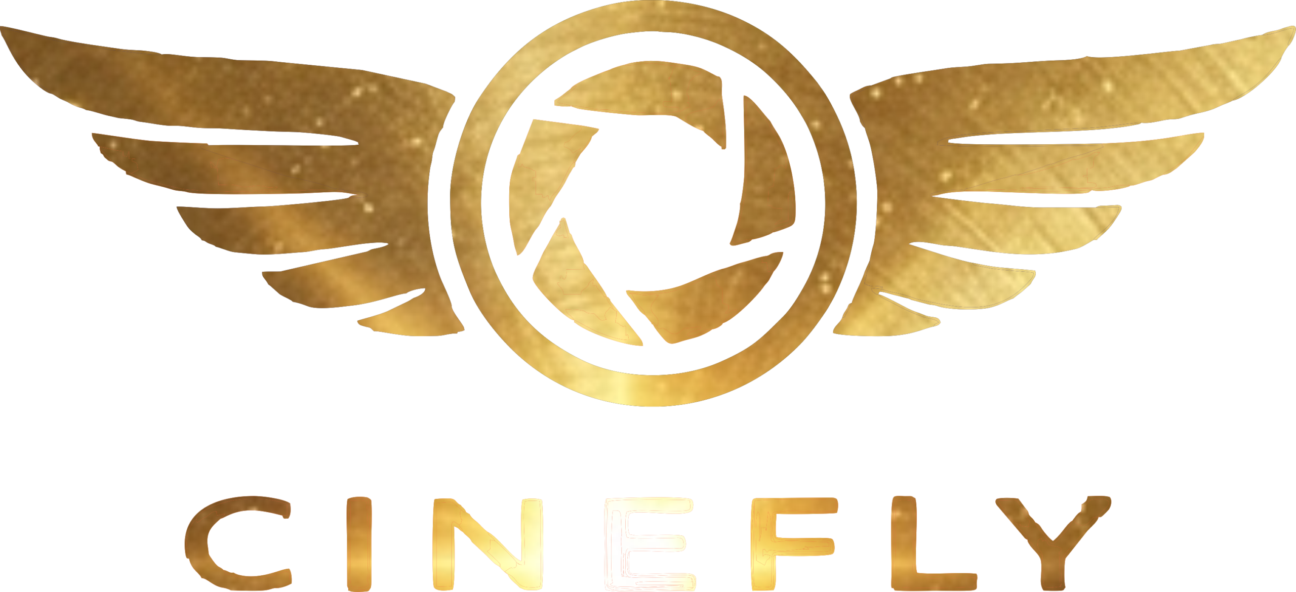 cinefly logo 12